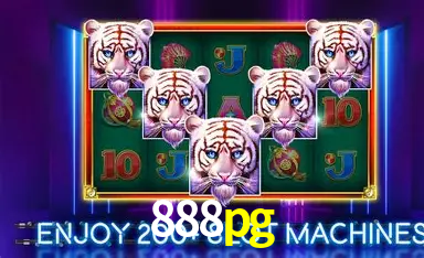 Flash Promotion 888pg